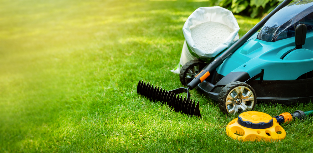 Early Spring Lawn Care Tips