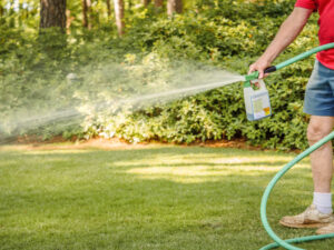 How to Choose a Productive Weed Killer or Grass Killer