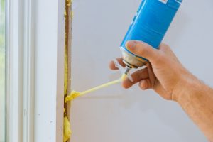 boxelder bug exterminator